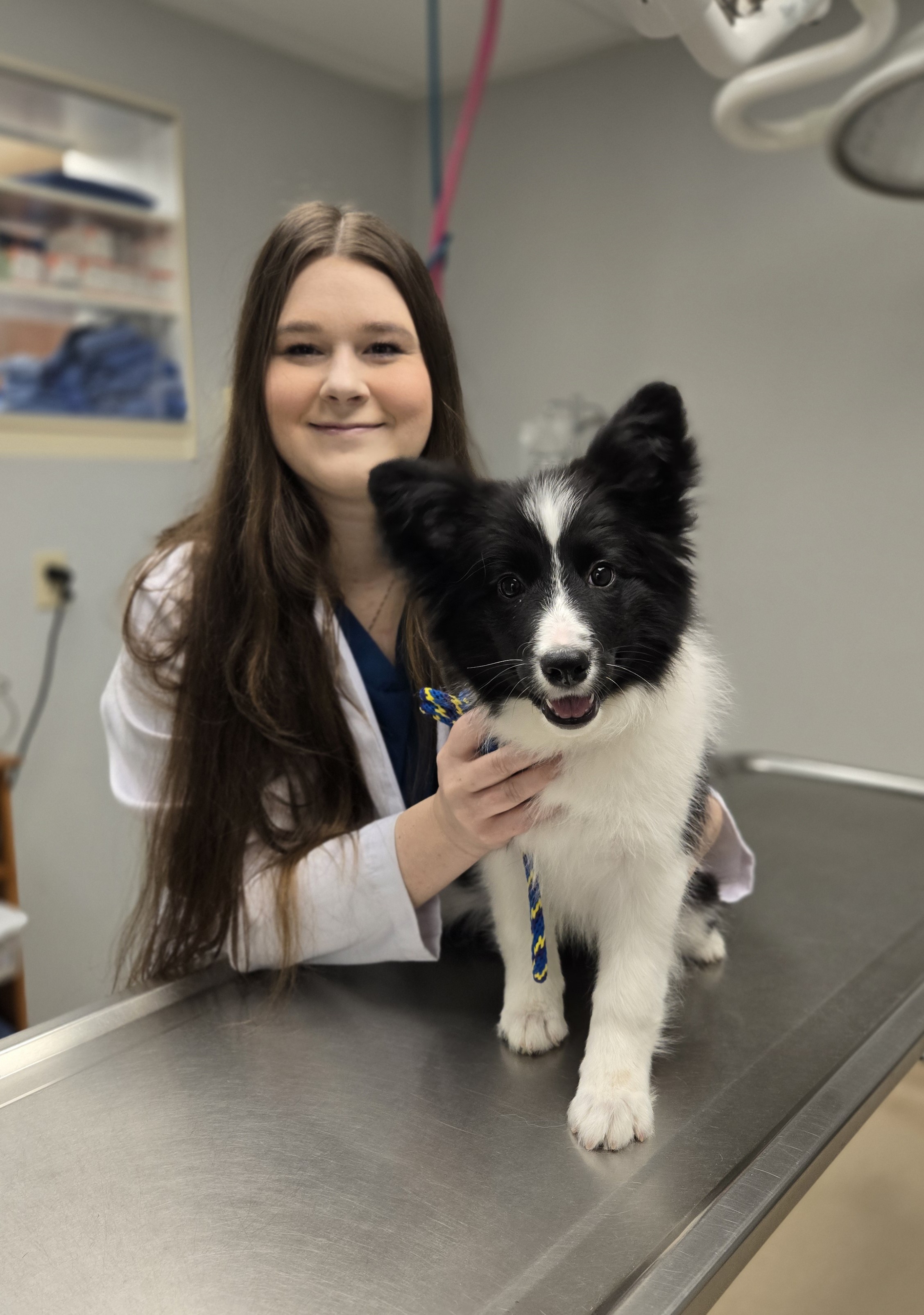 Profile for Jalissa Johnson