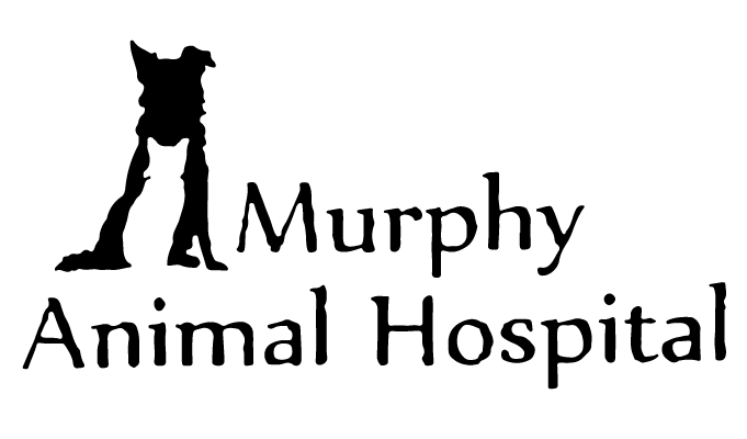 Murphy Animal Hospital Logo